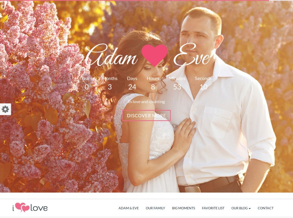 12-wordpress-theme-Hochzeit