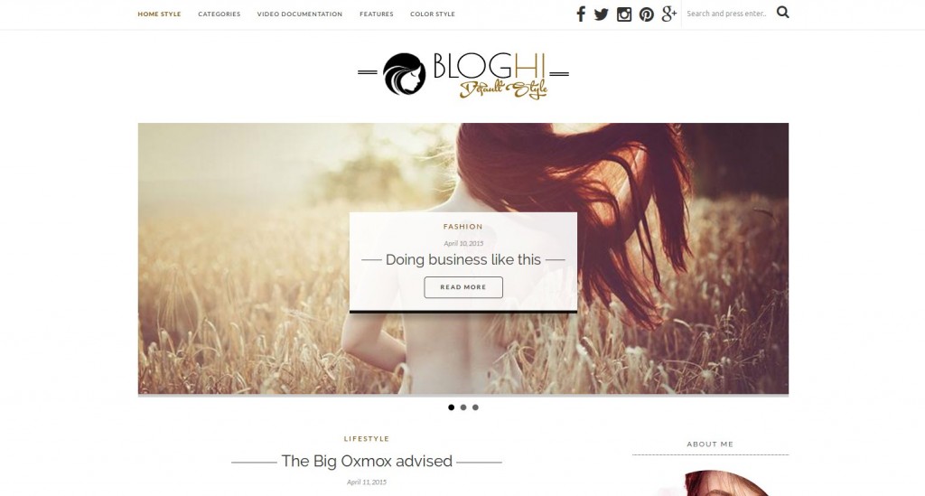 07-bloghi-theme-wordpress-französisch