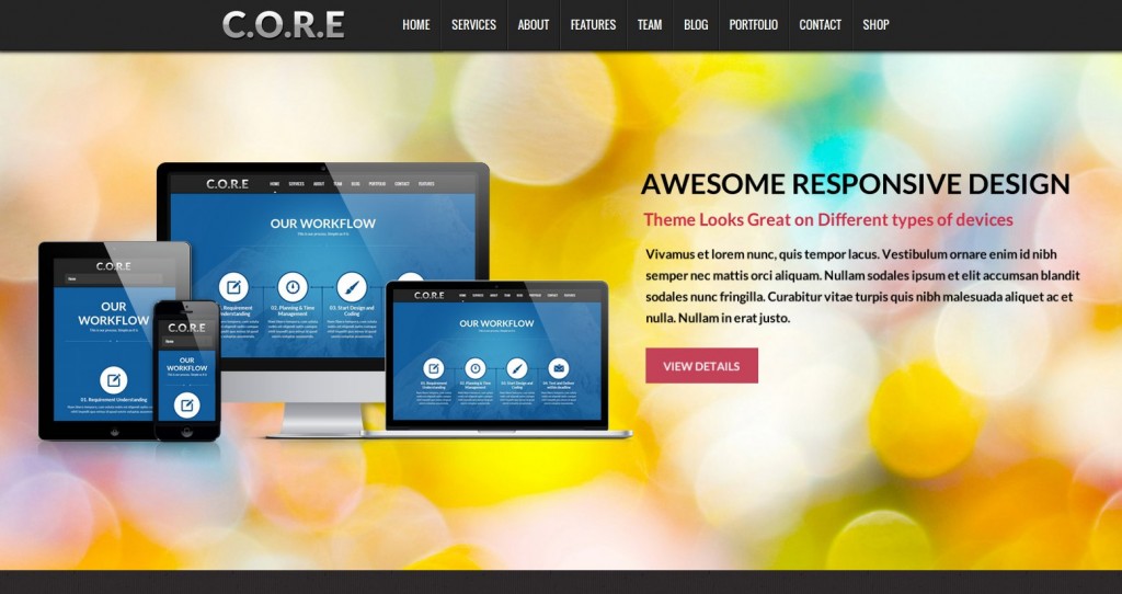 -08-core-theme-wordpress francês