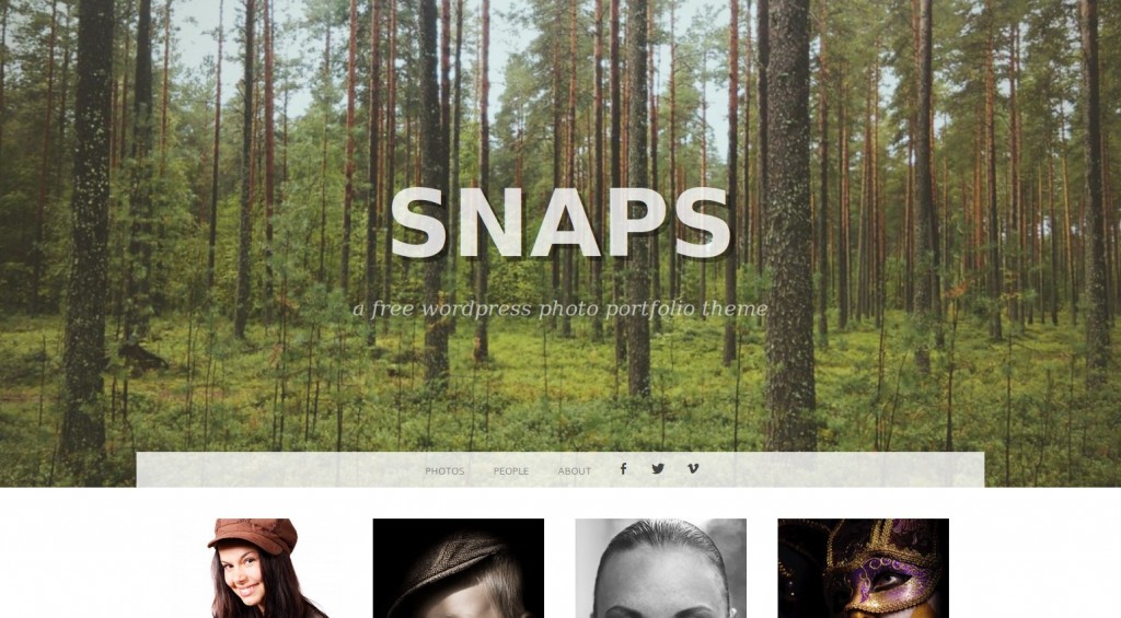 11-snaps-theme-wordpress-photo