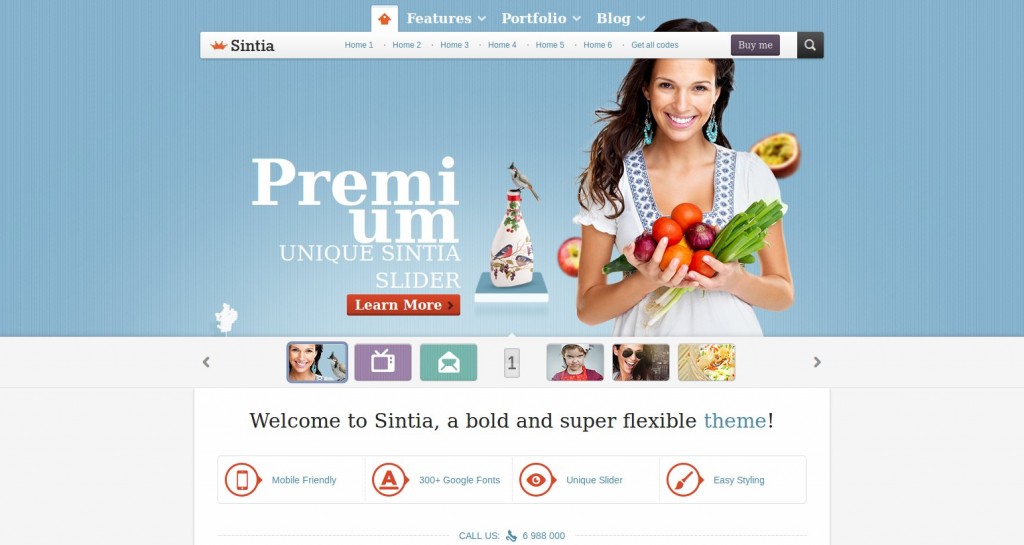 Estilo 20-Sintia-theme-wordpress-francés